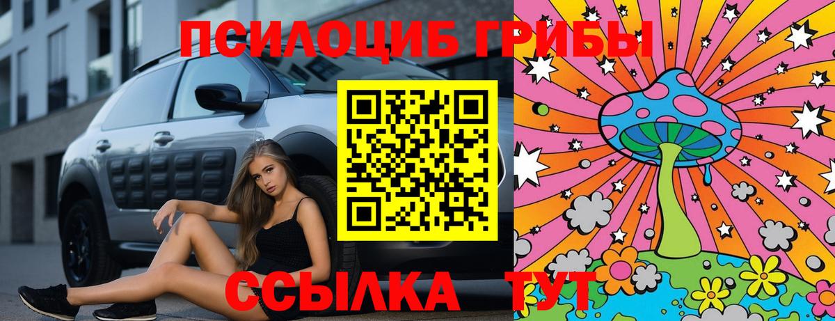 Псилоцибиновые грибы Psilocybine cubensis Кострома
